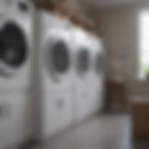 Innovative Eco-Friendly Laundry Service Eco-Friendly Laundry Service