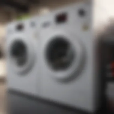 Sustainable laundry practices in action