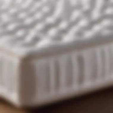 Eco-Friendly Organic Cotton Mattress for Sustainable Hotel Practices Eco-friendly organic cotton mattress for sustainable hotel practices