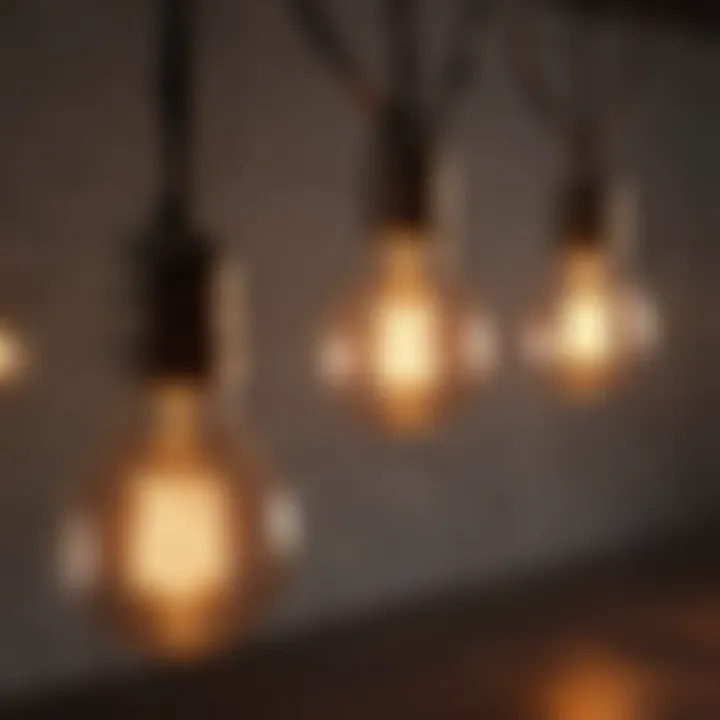 Edison Bulb String Lights