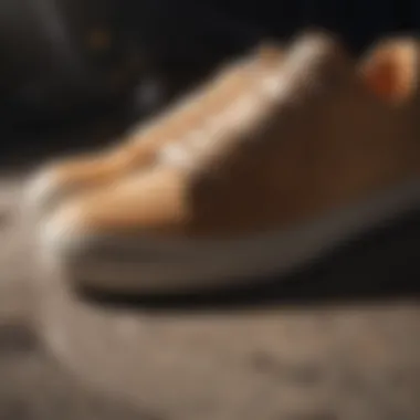 Techniques for Effective Stain Removal Effective stain removal techniques