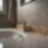 Close-up of mold in bathroom sink