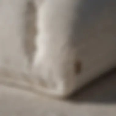 Pillow top mattress with a stain