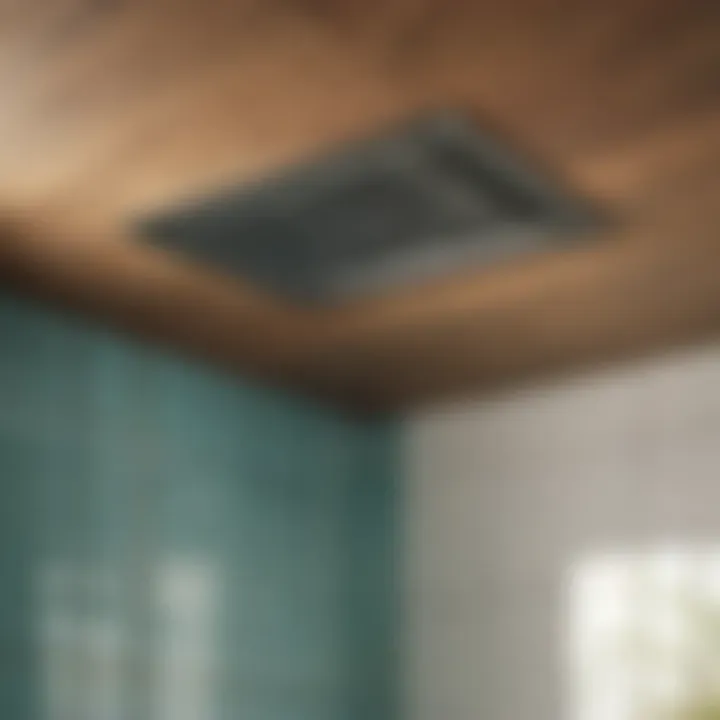 Ventilation and Air Circulation Importance in Mold Prevention