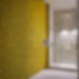 Mold Removal Product for Bathroom Walls