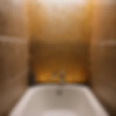 Preventing Mold Regrowth on Bathroom Walls