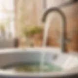 Natural Drain Cleaner