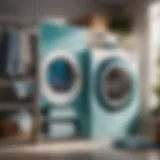 Sustainable Solution for Germ-Free Clothes Eco-Friendly Bacteria-Killing Laundry Detergent