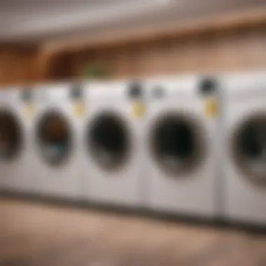 Efficient Laundry Management Process Efficient laundry management process optimization