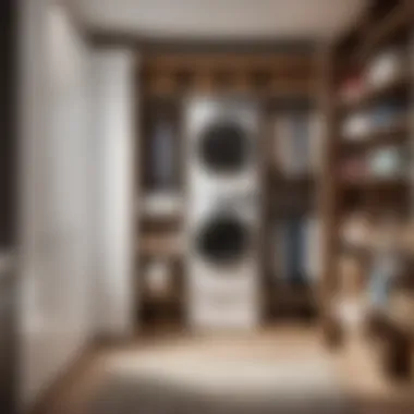 Optimal Storage Strategies Efficient storage solutions for laundry room closet
