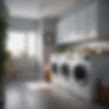 Space Optimization in Laundry Room Space Optimization in Laundry Room