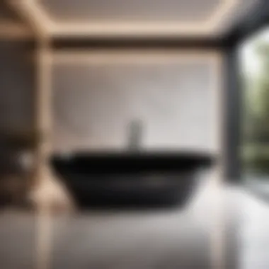 Elegant Black Freestanding Bathtub in Modern Bathroom Black Freestanding Bathtub in Modern Bathroom