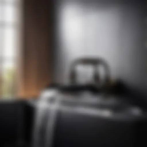 Luxurious black bathtub shower faucet with intricate detailing