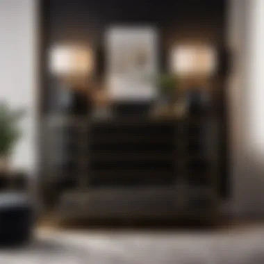 Effortless Organization Chic black dresser with ample storage space
