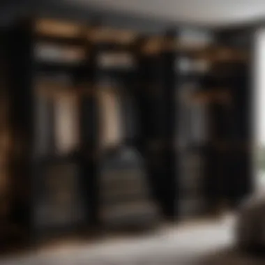 Elegant Storage Solution Luxurious black wardrobe with integrated storage compartments