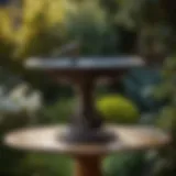 Exquisite Floral Cast Iron Bird Bath