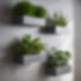 Sleek Minimalistic Gray Shelves with Greenery Accents Elegant gray bathroom shelving with potted greenery