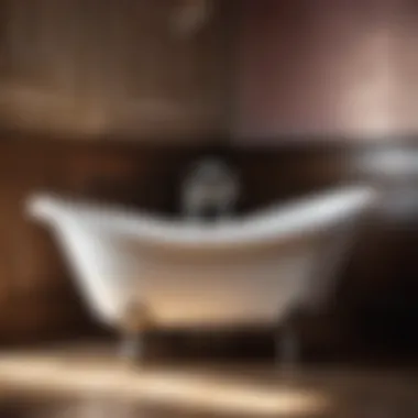 Vintage Bathtub Elegance Exquisite Vintage Bathtub in Heritage Bathroom