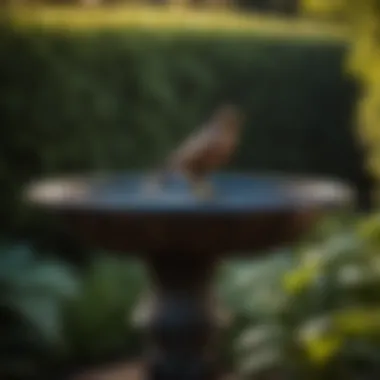 Majestic Bird of Prey Cast Iron Bird Bath