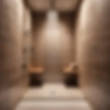 Elegance Meets Functionality in Handicap Shower Design