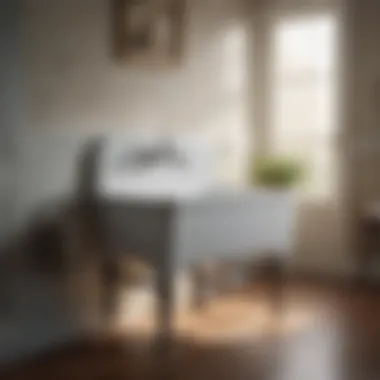 Elegant Porcelain Laundry Sink with Legs in Vintage-Inspired Setting