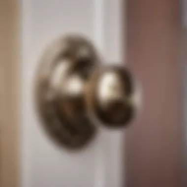 Sophisticated Installation Process Elegant Satin Nickel Door Knob Installation