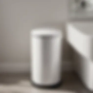 Minimalistic ceramic bathroom garbage can in white setting