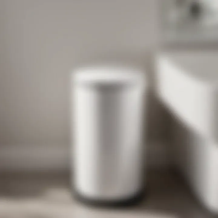 Minimalistic ceramic bathroom garbage can in white setting