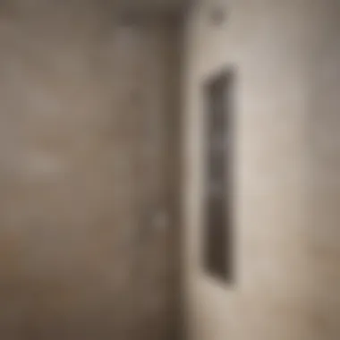 Spa-Like Shower Niche