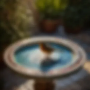 Elegance of a Mosaic Tile Bird Bath Tile bird bath with intricate mosaic design