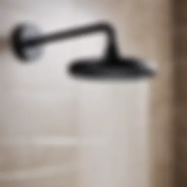 Sophisticated Matte Black Shower Head Minimalist Black Matte Shower Head