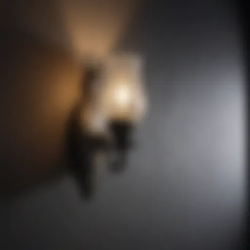 Elegant black bathroom sconce with ambient lighting