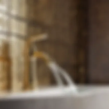Elegant Brass Fixtures Enhancing Bathing Room Design