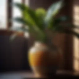 Elegant ceramic pot with intricate patterns