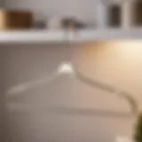 Elegant Clothes Hanger in Modern Laundry Room