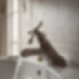 Elegantly crafted European bathroom faucet