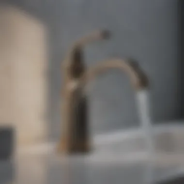 Elegant Design Elegant design of Kraus single-handle bathroom faucet