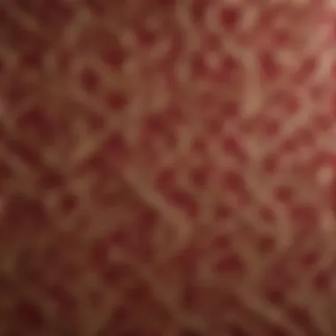 Elegant fabric panel featuring intricate patterns