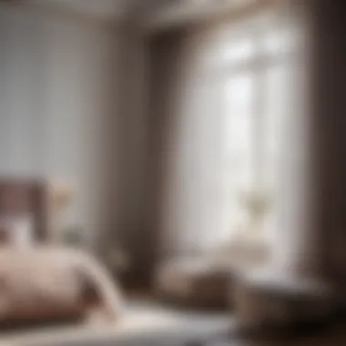 Graceful Sheer Curtains for a Frozen Bedroom Elegant Frozen Bedroom Sheer Curtains