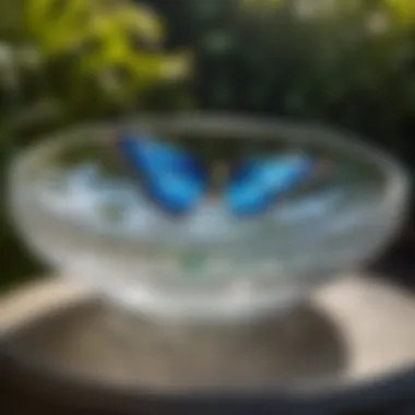 Elegant Glass Butterfly Bird Bath with Water Ripples
