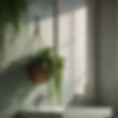 Botanical Beauty Elegant green plant hanging in bathroom