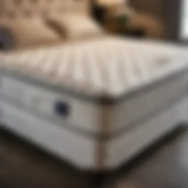 Luxurious Mattress Showcase in Hammond, LA Elegant Mattress Display in Hammond LA Store