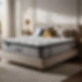 Elegant and Minimalist Full Mattress on Platform Bed