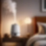 Elegant modern humidifier in a master bedroom