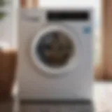 Elegant Simer Laundry Pump Design Elegant Simer Laundry Pump Design