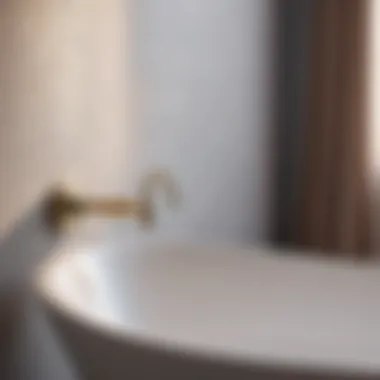 Luxurious Bathroom Setting with Suction Hook Elegant and stylish bathroom with bathtub suction hook