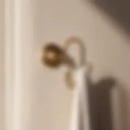 Elegant Towel Hook in Modern Bedroom