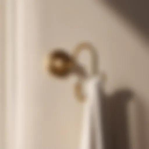 Elegant Towel Hook in Modern Bedroom