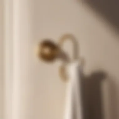 Sophisticated Towel Hook Design Elegant Towel Hook in Modern Bedroom