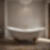 Timeless Elegance in the Vintage Bathtub Elegant Vintage Bathtub